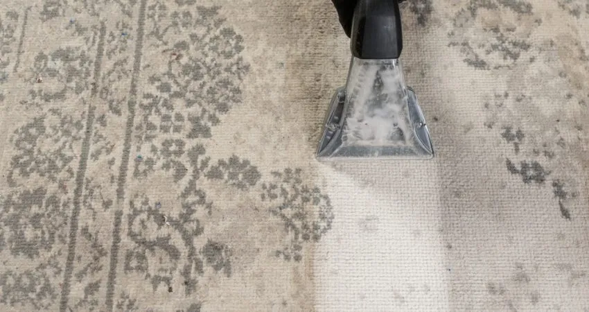 Pulizia moquette e tappeti