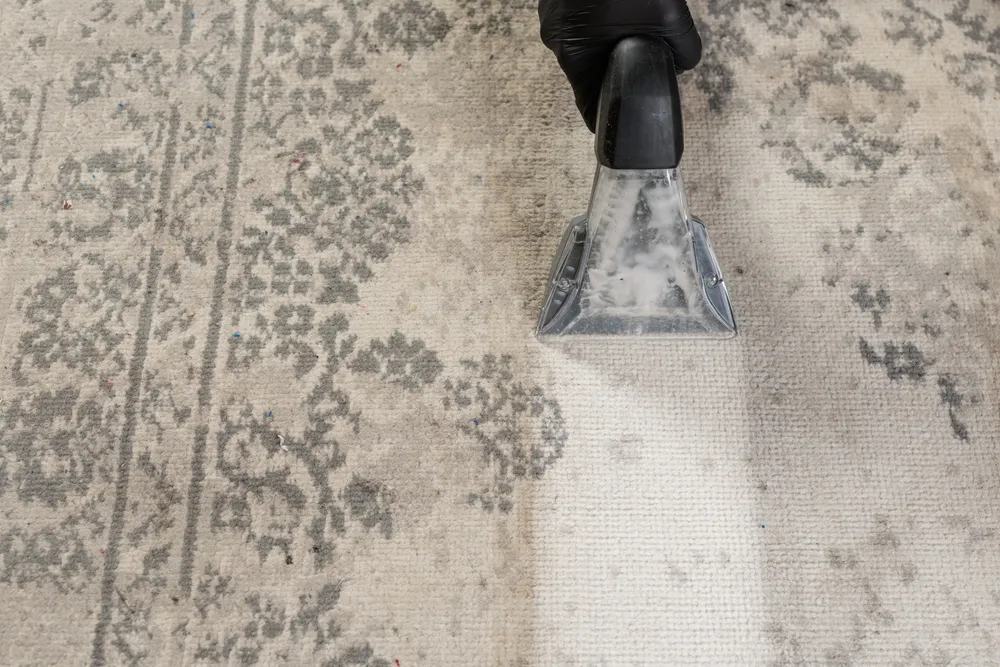 Pulizia moquette e tappeti