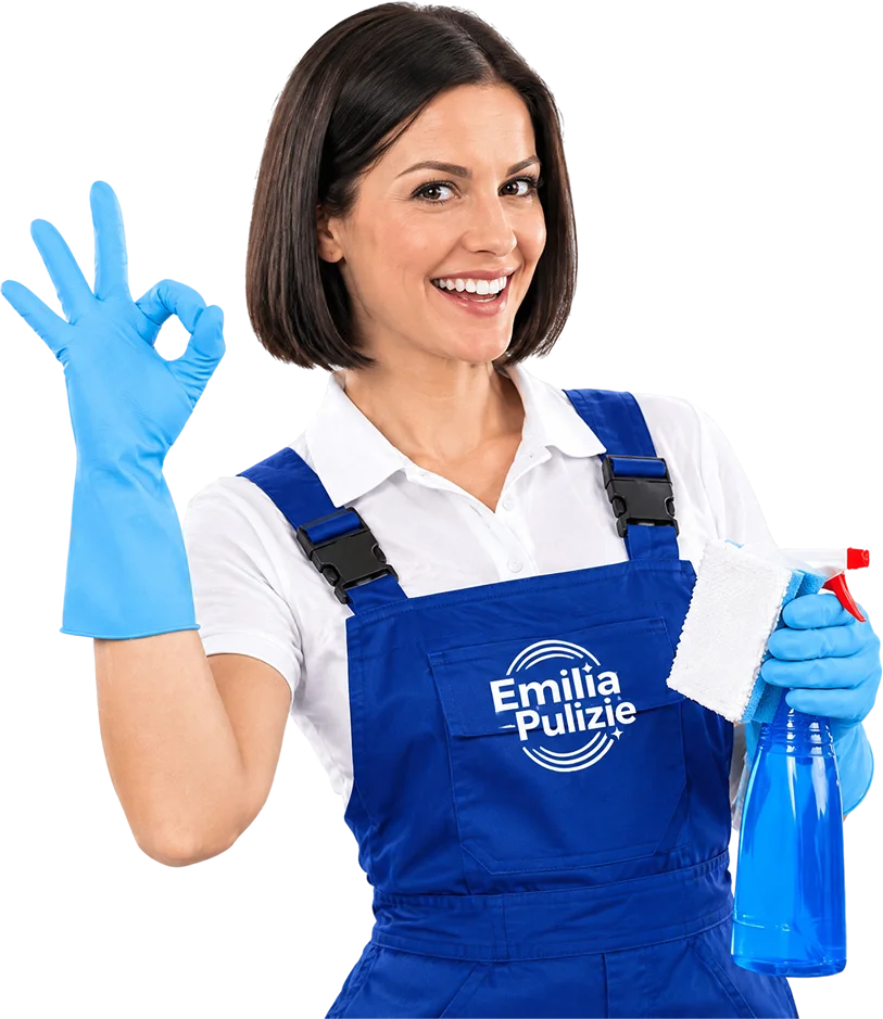 Emilia Pulizie
